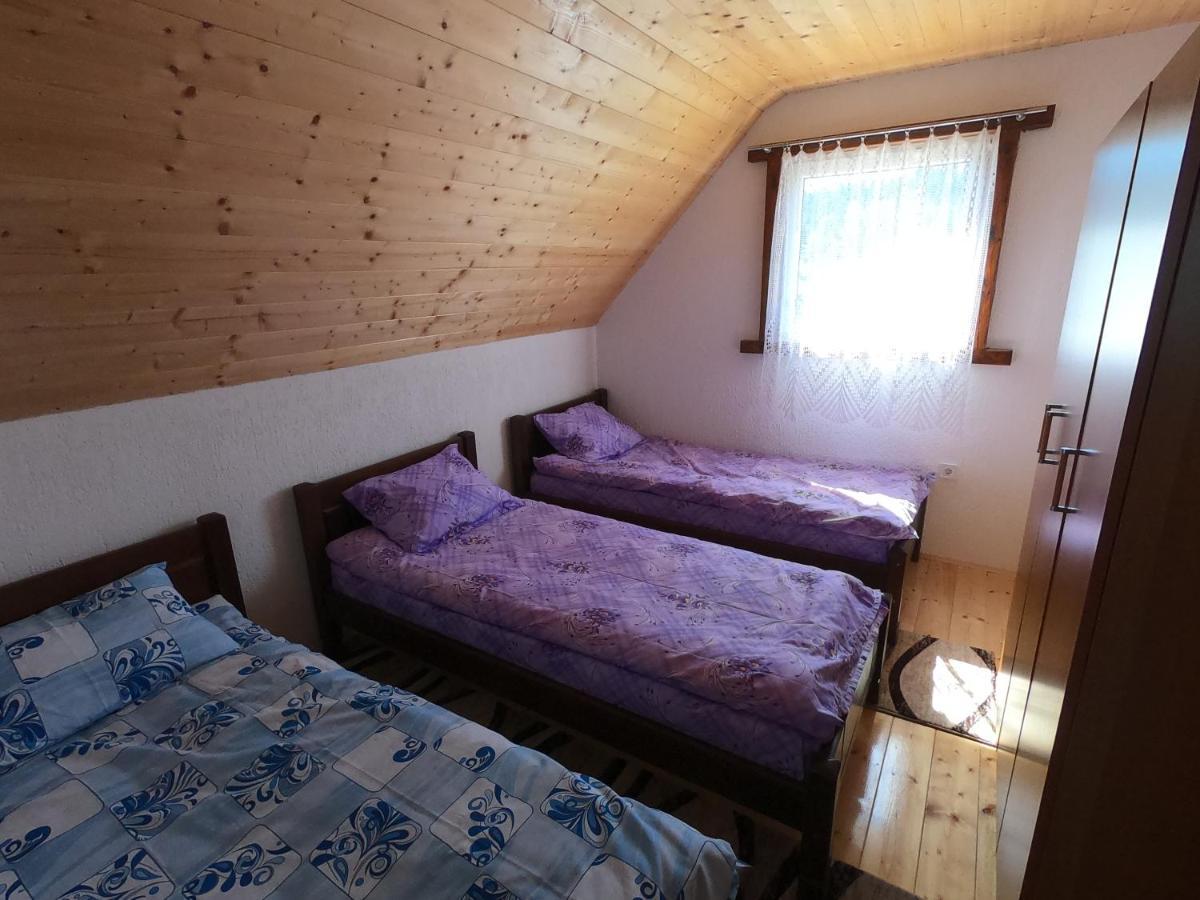 Guest house Tara Žabljak Extérieur photo